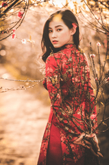 Áo dài, cô gái, con gái, phụ nữ, nữ, Việt Nam, Viet Nam, Tết, xuân - Chuotanhls