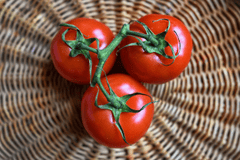 Cà chua, quả cả chua, rau củ, tomato - MabelAmber