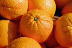 Cam, quả cam, trái cam, cam vàng, trái cây, orange - Couleur