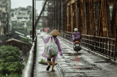 Cầu, con người, hàng rong, mưa - season-4559795_1920