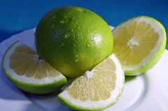 Chanh, quả, lime -  Arcaion