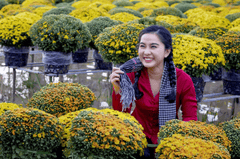 Cô gái, con gái, áo bà ba, nông thôn, miền tây, làng hoa, hoa Tết, Tết, Việt Nam