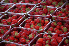 Dâu tây, dâu, trái cây, strawberry - jhenning