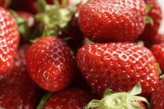 Dâu tây, trái dâu, quả dâu, strawberry -jhenning