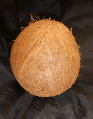 Dừa, dừa khô, coconut - Pudelinchen