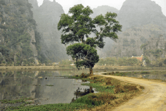 Hoa Lư, núi, hồ, du lịch, Việt Nam - DEZALB