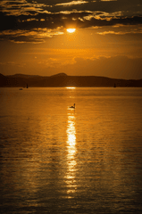 Hoàng hôn, bầu trời, sky, sunset, sông, hồ - Bergadder