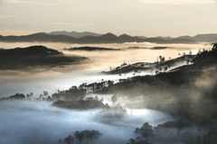 Đà Lạt, Núi, mây, săn mây, nhà kính, Việt Nam - Quangpraha