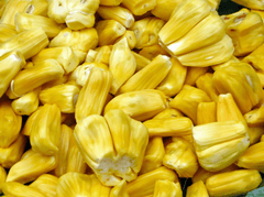 Mít, quả mít, trái cây, Jackfruit - DEZALB