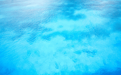 Nước, biển, water, nền, background - Michelle_Raponi