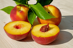 Đào, quả đào, trái đào, trái cây, peach, fruit - Couleur