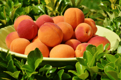 Đào, quả đào, trái đào, trái cây, peach, fruit - RitaE