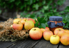 Táo, trái táo, trái cây, apple - congerdesign (2)