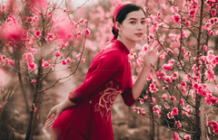 Cô gái, con gái, nữ, áo dài, Tết, xuân, Việt Nam - LuisSteven 1