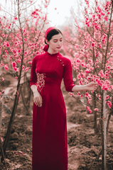 Cô gái, con gái, nữ, áo dài, Tết, xuân, Việt Nam - LuisSteven 3
