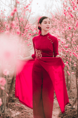 Cô gái, con gái, nữ, áo dài, Tết, xuân, Việt Nam - LuisSteven 4