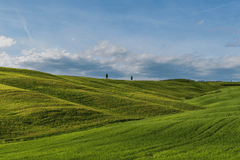 Đồng cỏ, cỏ, thảo nguyên, cao nguyên, hill, mountain - DUCTINH91