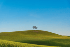 Đồng cỏ, cỏ, thảo nguyên, cao nguyên, hill, mountain - DUCTINH91