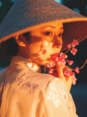 Con gái, cô gái, nữ, áo dài, trang phục truyền thống, Việt Nam 11