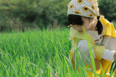 Em bé, trẻ em, con gái, girl, đồng ruộng, nông dân -  Jupilu 5