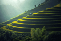 Núi, mountain, ruộng bậc thang, ruộng - sasint