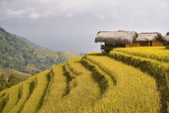 Núi, mountain, ruộng bậc thang, ruộng, Việt Nam - ThanhVu68