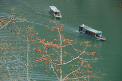 Hồ, phong cảnh, thuyền, mùa thu, Việt Nam - xuanduongvan87