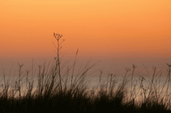 Hoàng hôn, sunset, chiều, mặt trời, hình nền, nền -Kranich17 (10)