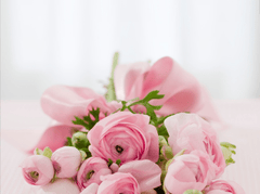 Nền, hình nền, hoa, hoa lá, flower, hoa hồng, rose - ArtTower