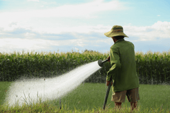 Nông dân, farmer, tưới cây, tưới ruộng, ruộng, cánh đồng, Việt Nam, nền. hình nền -HieuNghiaMini (2)