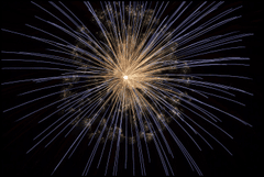 Pháo hoa, pháo bông, firework, nền, hình nền, background- christy1