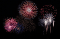 Pháo hoa, pháo bông, firework, nền, hình nền, background- nidan