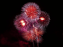 Pháo hoa, pháo bông, firework, nền, hình nền, background- PublicDomainPictures (2)
