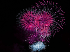 Pháo hoa, pháo bông, firework, nền, hình nền, background- PublicDomainPictures 1