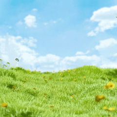 Nền, nền cỏ, hình nền, background, grass, bãi cỏ