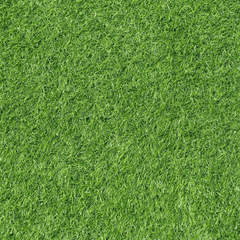 Cỏ, bãi cỏ, grass, hình nền, background, thiên nhiên