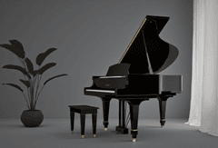 Piano, đàn piano, nhạc cụ, instrument, music, âm nhạc, giải trí 19