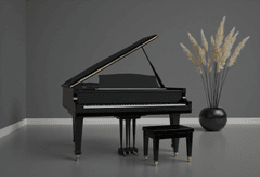 Piano, đàn piano, nhạc cụ, instrument, music, âm nhạc, giải trí 18