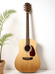 Guitar, đàn guitar, đàn, music, âm nhạc, giải trí 1