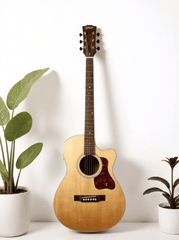 Guitar, đàn guitar, đàn, music, âm nhạc, giải trí 15
