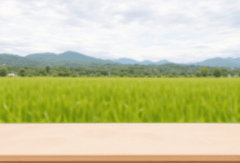 Bàn, table, desk, cửa sổ, window, hình nền, nền, background 44