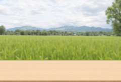 Bàn, table, desk, cửa sổ, window, hình nền, nền, background 42
