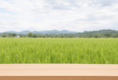 Bàn, table, desk, cửa sổ, window, hình nền, nền, background 39
