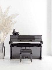Piano, đàn piano, nhạc cụ, instrument, music, âm nhạc, giải trí 3