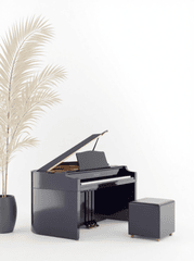 Piano, đàn piano, nhạc cụ, instrument, music, âm nhạc, giải trí 2