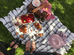 Picnic, bánh, trái cây, cắm trại, camping - Eugenia Remark 1