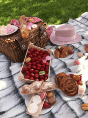 Picnic, bánh, trái cây, cắm trại, camping - Eugenia Remark 3