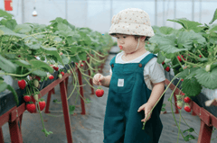 Em bé, trẻ em, con gái, girl, kids, chụp ảnh, vui vẻ- Mochi mochi 13