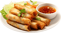 Chả giò, chả, ẩm thực, food