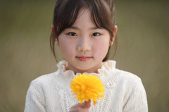 Bé gái, girl, hoa bồ công anh, dandelion, chân dung, portrait, ánh sáng tự nhiên, natural light